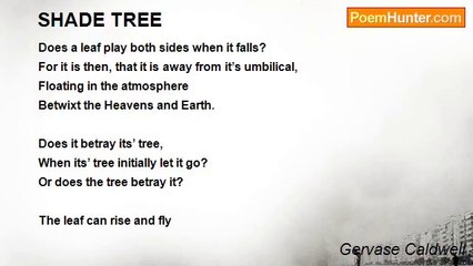 Gervase Caldwell - SHADE TREE