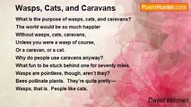 David Mitchell - Wasps, Cats, and Caravans