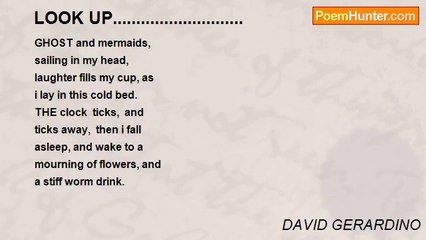 DAVID GERARDINO - LOOK UP............................