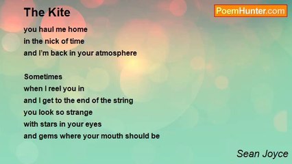 Sean Joyce - The Kite