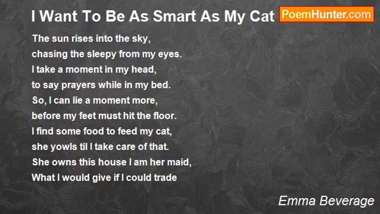 Emma Beverage - I Want To Be As Smart As My Cat