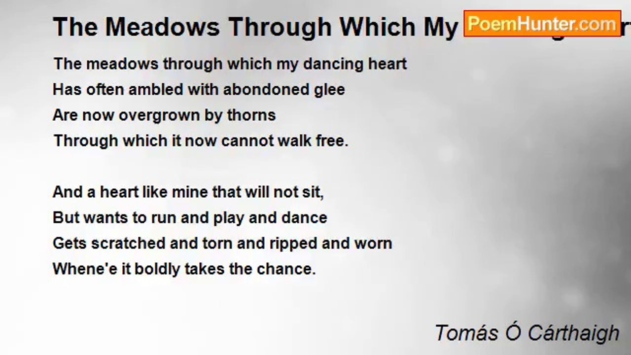 Tomás Ó Cárthaigh - The Meadows Through Which My Dancing Heart