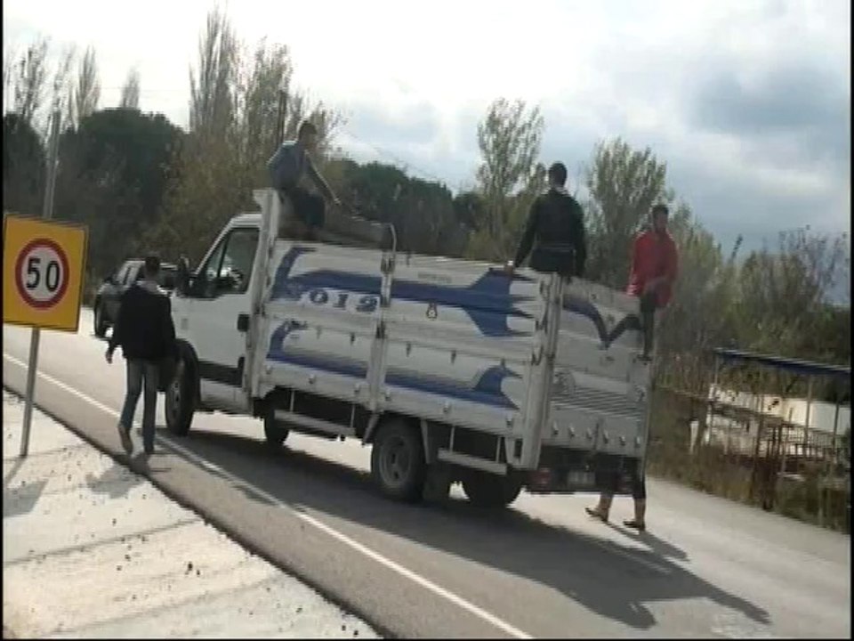 clip5