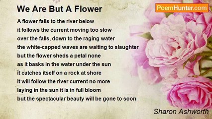 Sharon Ashworth - We Are But A Flower