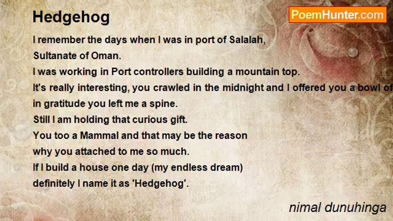 nimal dunuhinga - Hedgehog