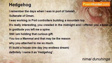 nimal dunuhinga - Hedgehog