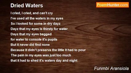 Funmbi Aransiola - Dried Waters