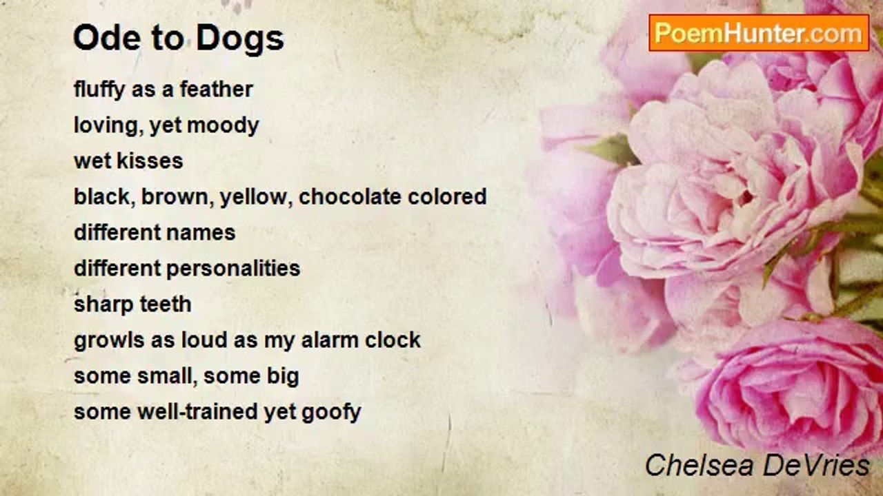 Chelsea DeVries - Ode to Dogs