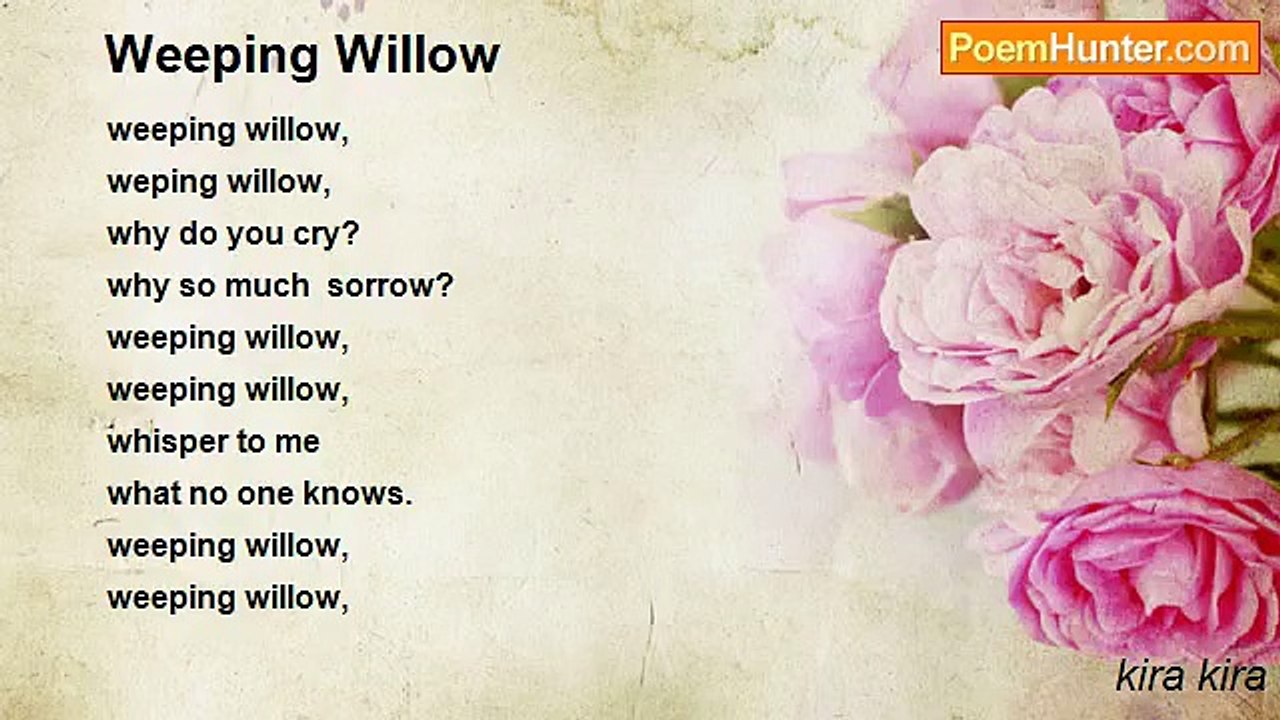 kira kira - Weeping Willow