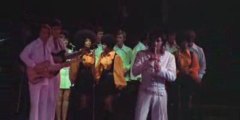 Elvis Presley - I Can't Stop Loving You