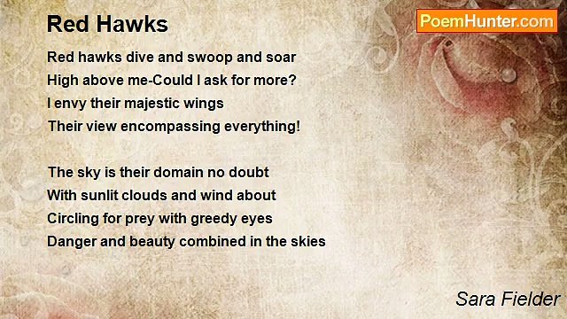 Sara Fielder - Red Hawks