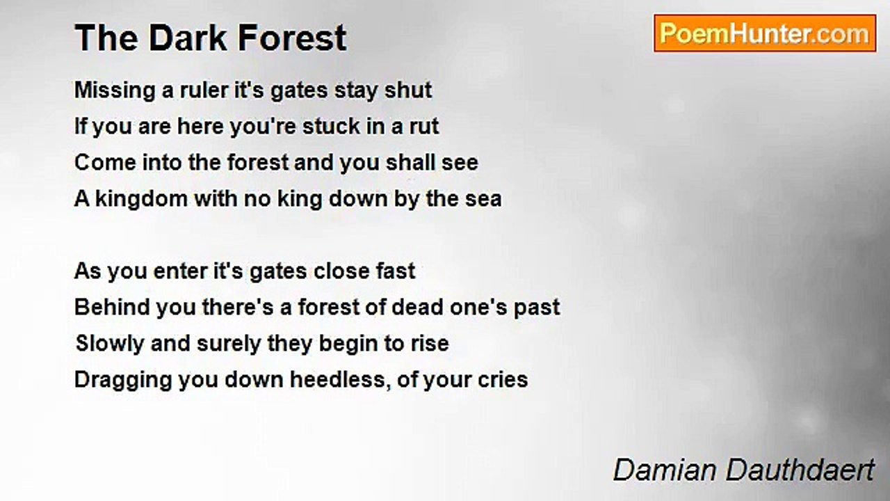 Damian Dauthdaert - The Dark Forest
