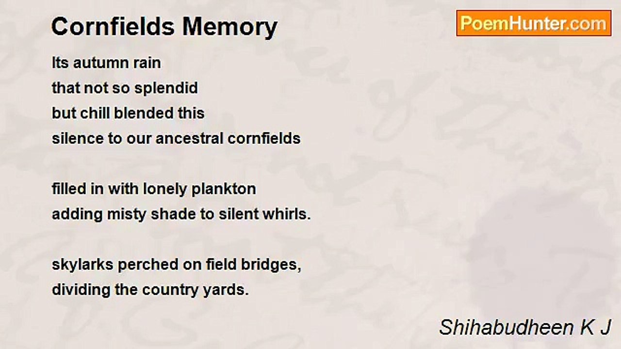 Shihabudheen K J - Cornfields Memory