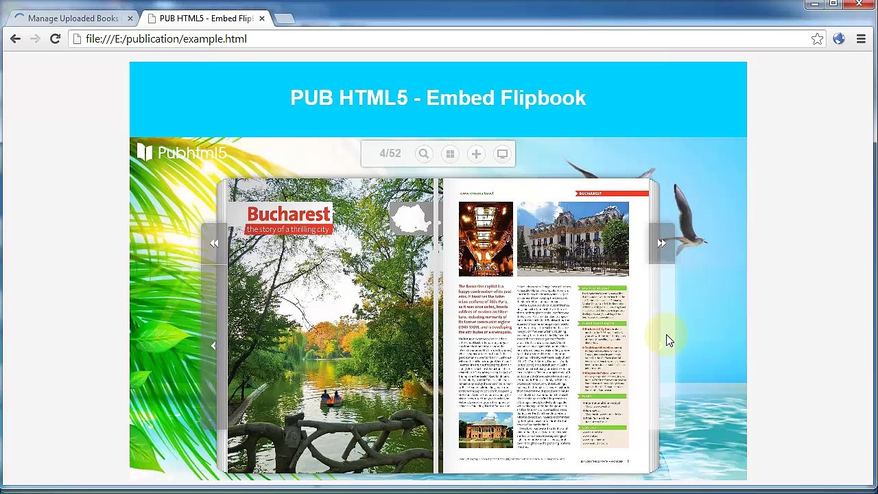 How to embed self-publishing digital flipbooks into website