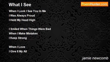 jamie newcomb - What I See