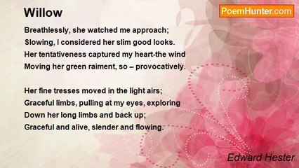 Edward Hester - Willow