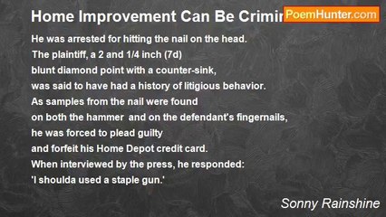 Sonny Rainshine - Home Improvement Can Be Criminal