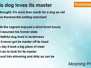 Morphing Professor - this dog loves its master