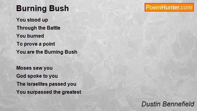 Dustin Bennefield - Burning Bush