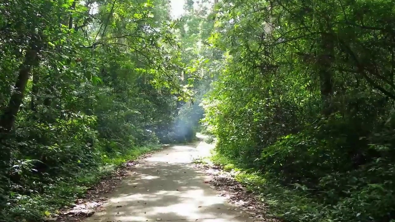 Cúc Phương
