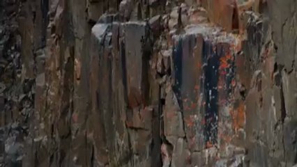 First Step In Life Towards Success. Don't Be Afraid , Just Do It Amazing !!