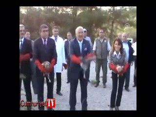 Özgür bırakılan şahin, belediye başkanını yere serdi