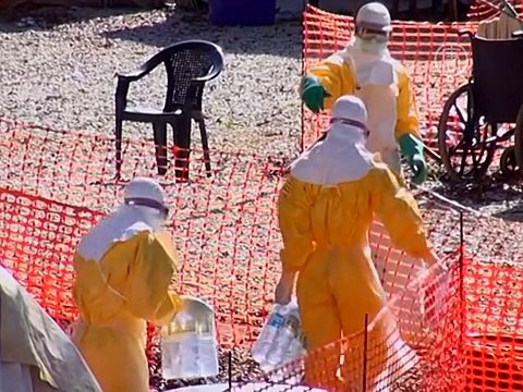 Врач: «Паника и невежество страшнее самой Эболы»