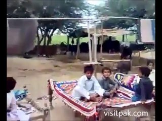 Donkey fan Made in Pakistan