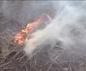 Toprak kendi kendine ısınıyor