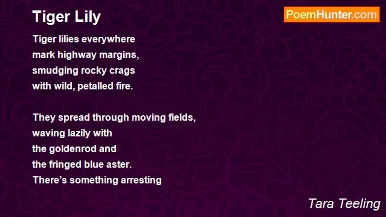 Tara Teeling - Tiger Lily