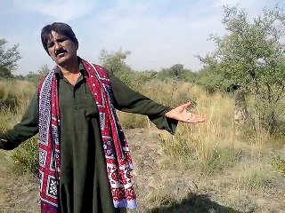maqbool ahmed and danish wasi funy