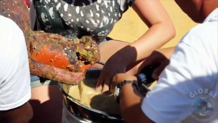 La cargaison d'un navire grec de l'antiquité retrouvée en Italie