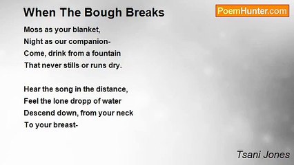 Tsani Jones - When The Bough Breaks