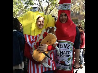 These Dogs Have Better Halloween Costumes Than You