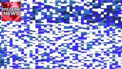 VIDEO- Giraffe Being Dissected at Copenhagen Zoo in front of Children