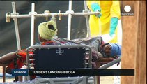Quais são os riscos reais de contrair o Ébola?
