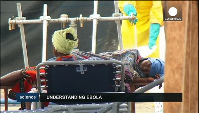 Лихорадка Эбола - факты и комментарии
