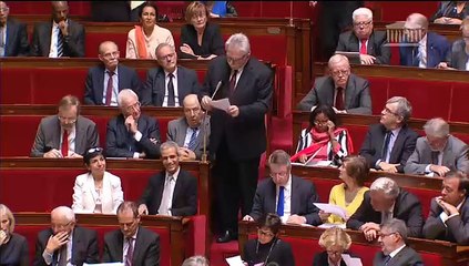 Drame de Sivens / agriculture intensive : question au Gouvernement