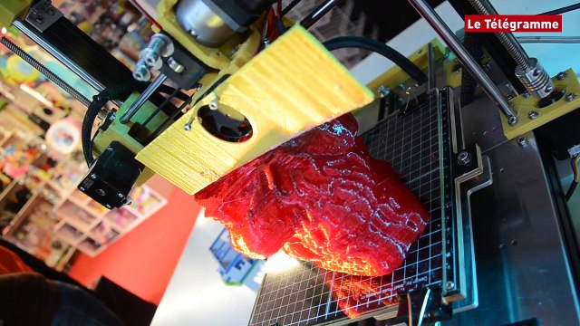Saint-Brieuc. Cinq imprimantes 3D qui ont un Succès Fou pour Halloween