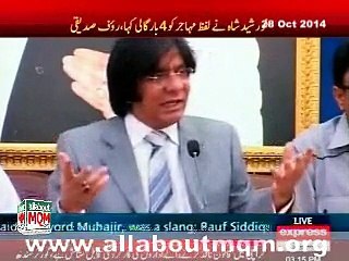 MQM is liberal political party but not to tolerate blasphemous act: Rauf Siddiqui