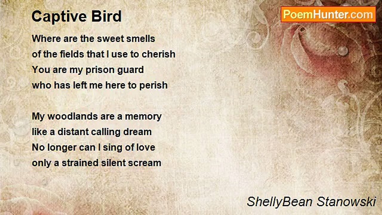 ShellyBean Stanowski - Captive Bird