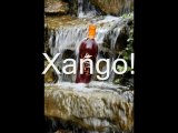Xango - Xango Mangosteen Juice