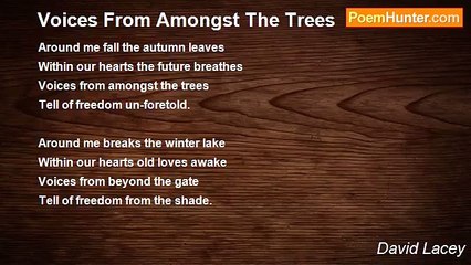 David Lacey - Voices From Amongst The Trees
