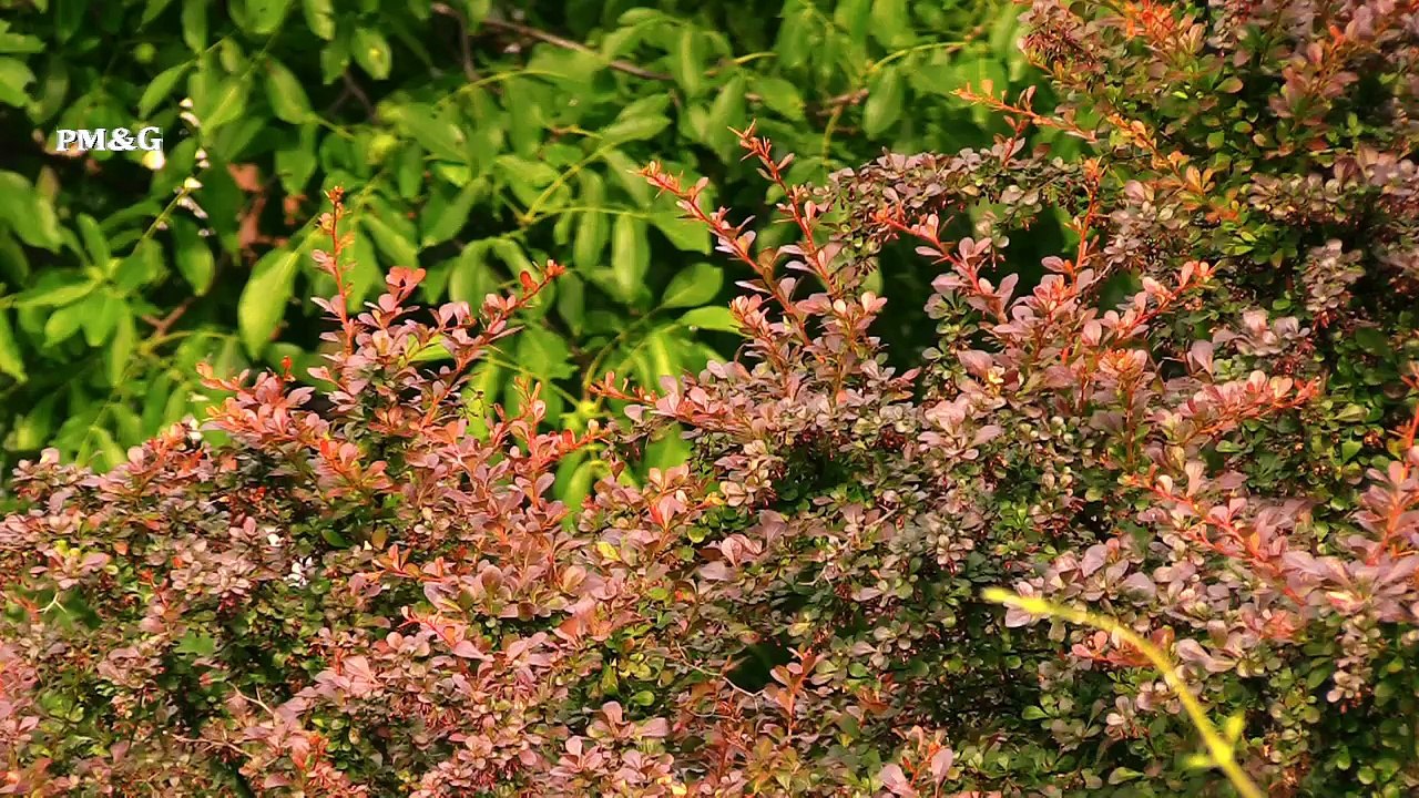 Relax in Valle d'Aosta  La Salle Chez Les Rosset