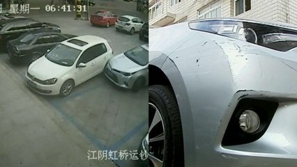 This Driver Can't Figure Out How To Leave The Parking Lot