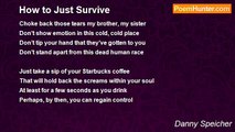 Danny Speicher - How to Just Survive