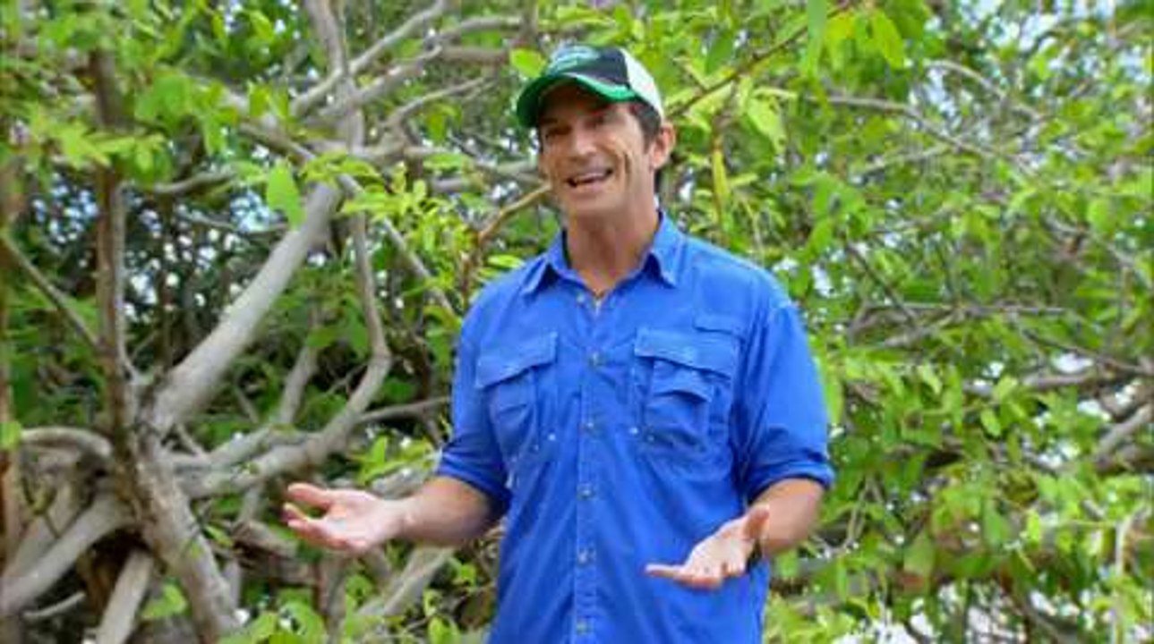 'Survivor' exclusive clip