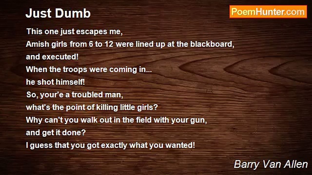 Barry Van Allen - Just Dumb