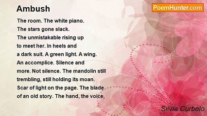 Silvia Curbelo - Ambush