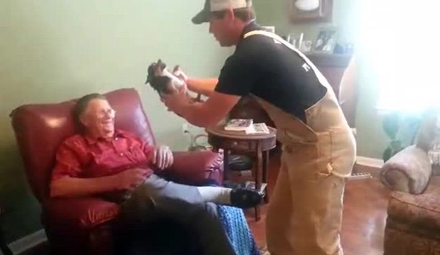 Un chien fait le mort dans les bras d'un homme